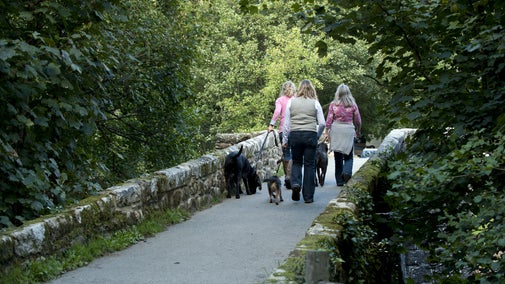 Visitors walking dogs on the estate at Castle Drogo, Devon.
